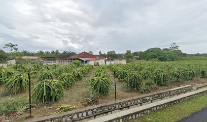 Bukit Pelanduk Dental Clinic — photo 2