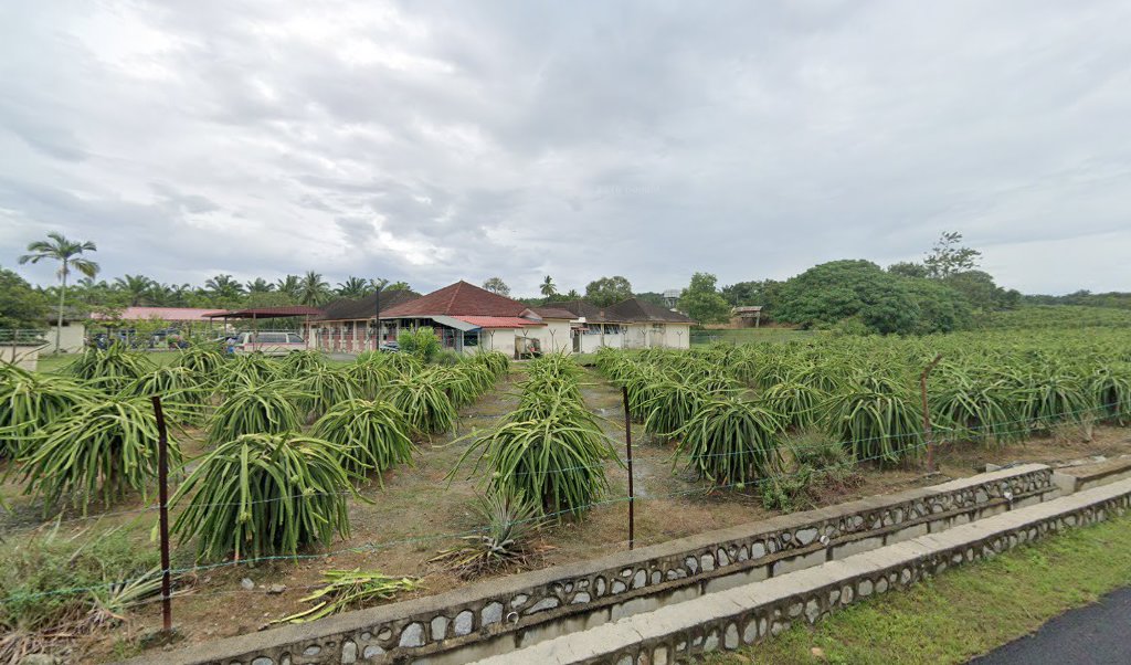 Bukit Pelanduk Dental Clinic — dental clinic in Malaysia