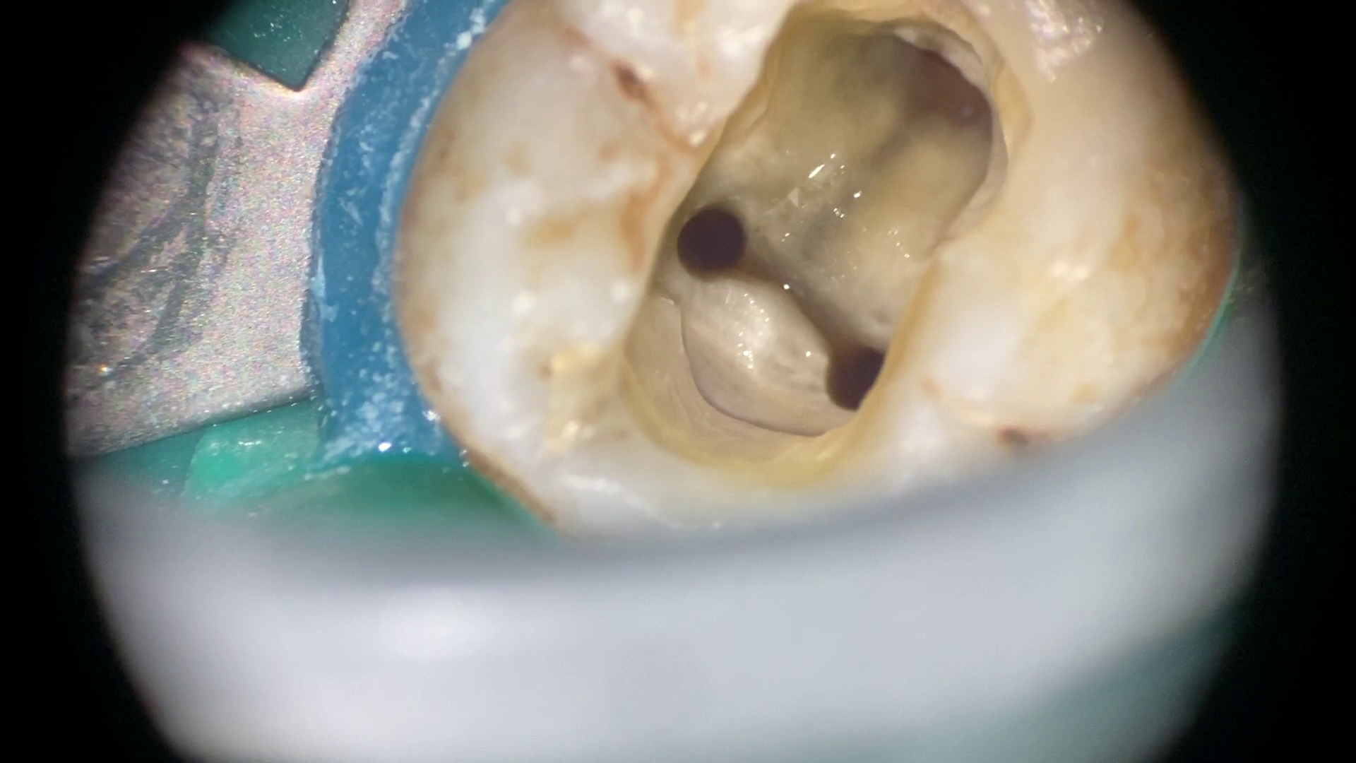 M Dental Clinic — photo 2