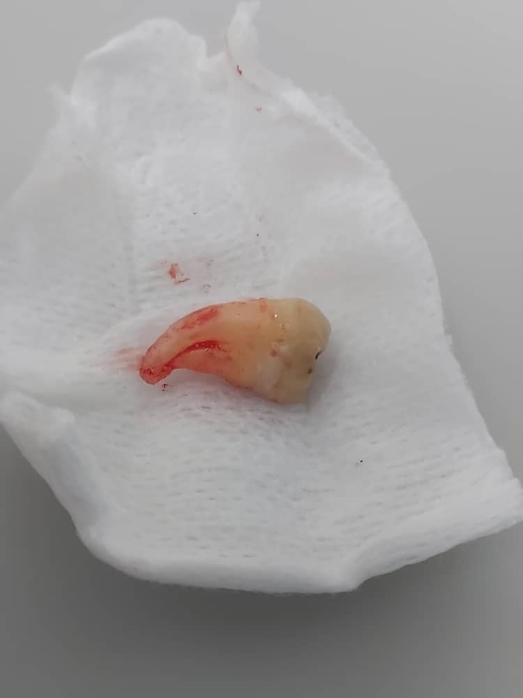 Ong Dental Surgery — photo 2