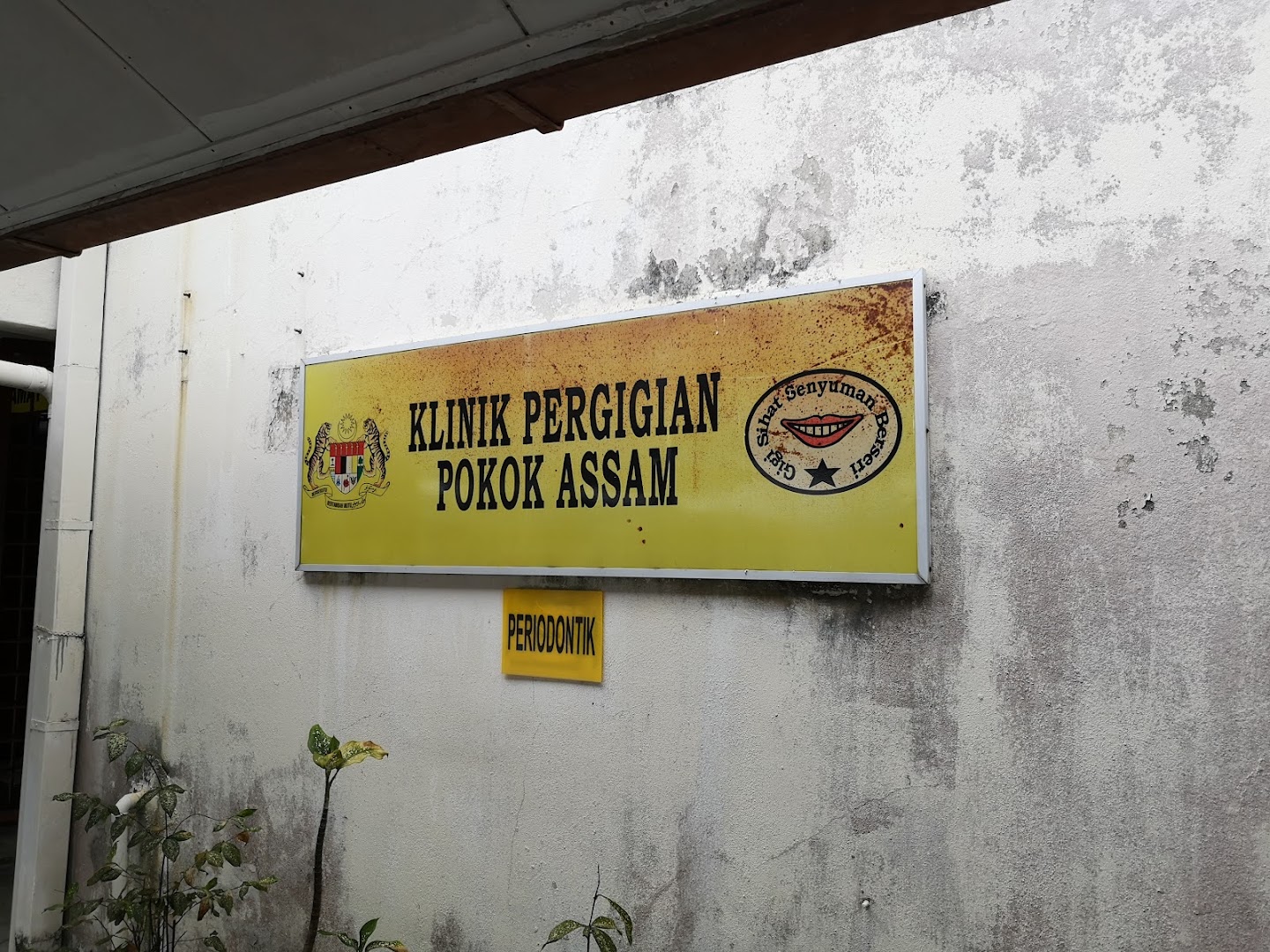 Pokok Assam Dental Clinic — photo 3