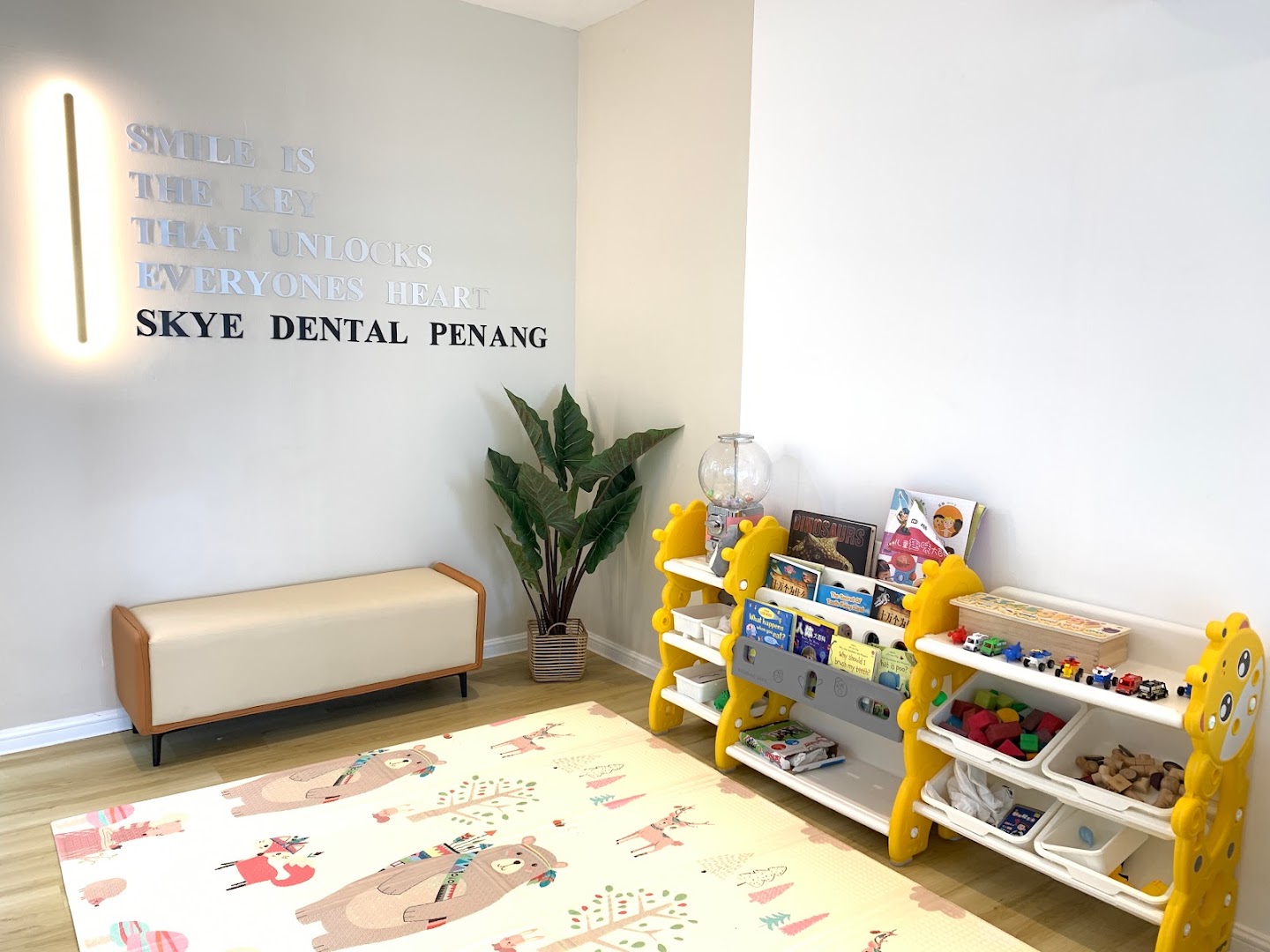 Skye Dental Penang clinic ( Invisalign, Myobrace, Children braces) — photo 2