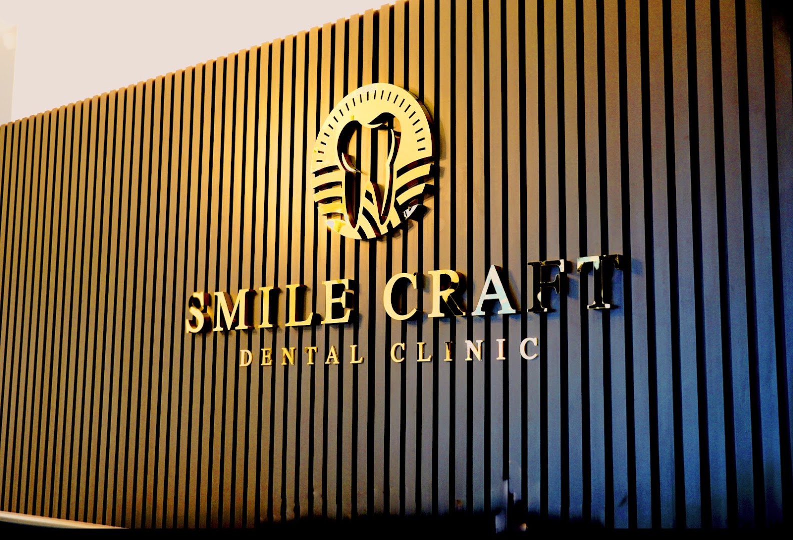 Smile Craft Dental Clinic Puchong 乐艺牙科 (蒲种) — dental clinic in Malaysia
